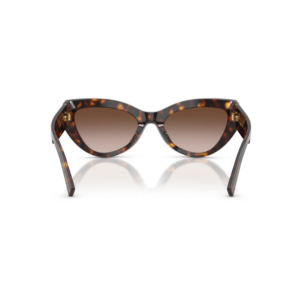 Dolce & Gabbana DG4536 502/13 – Havana – Occhiali da sole