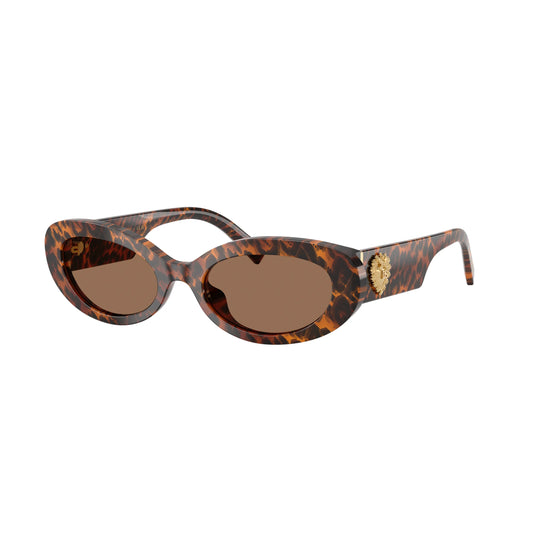 Dolce & Gabbana DG4537 347073 – Leo transparent – Occhiali da sole