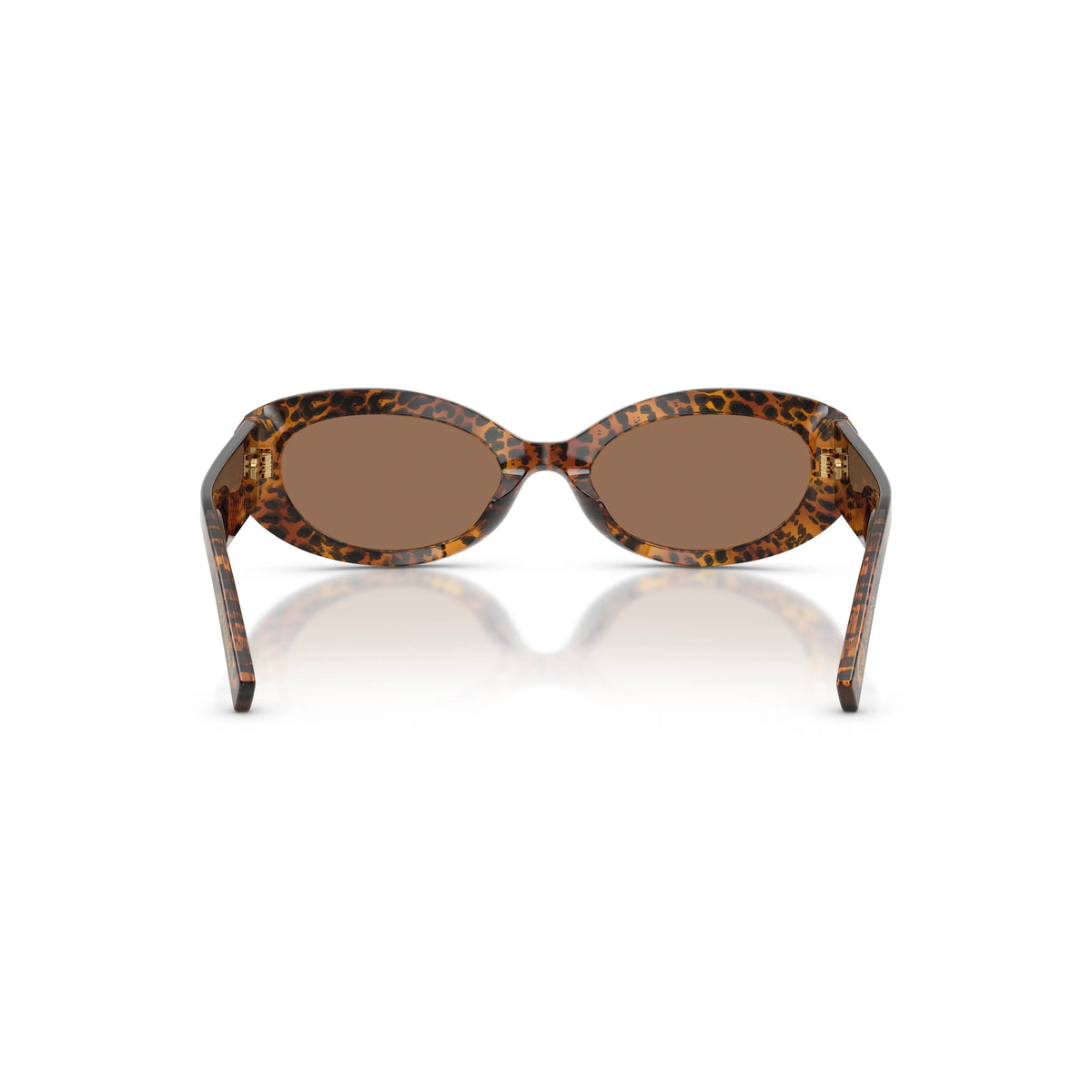Dolce & Gabbana DG4537 347073 – Leo transparent – Occhiali da sole