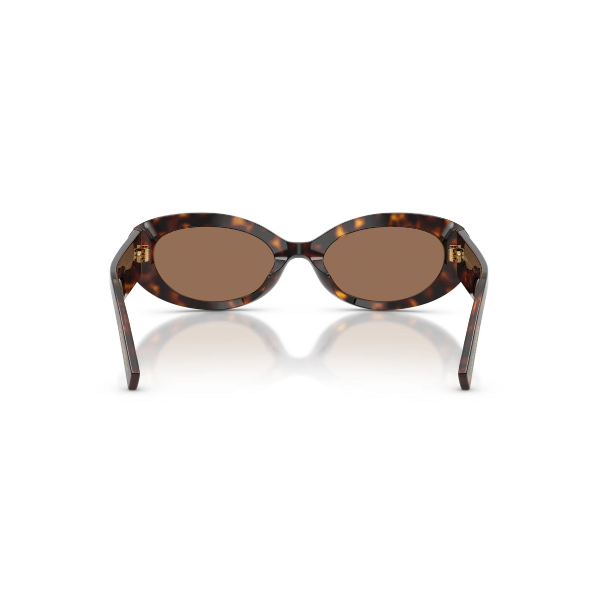 Dolce & Gabbana DG4537 502/73 – Havana – Occhiali da sole