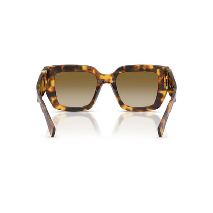 Miu Miu MU B05S 14L20U – tartarugato – Occhiali da sole