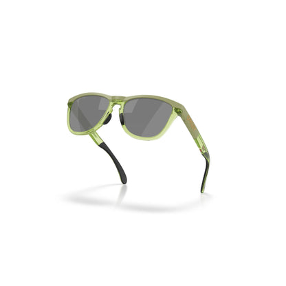 Oakley Frogskins Range XL OO9503 950307 – felce opaco/felce trasparente – Occhiali da sole