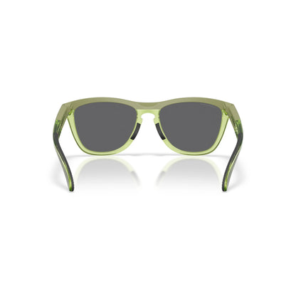 Oakley Frogskins Range XL OO9503 950307 – felce opaco/felce trasparente – Occhiali da sole