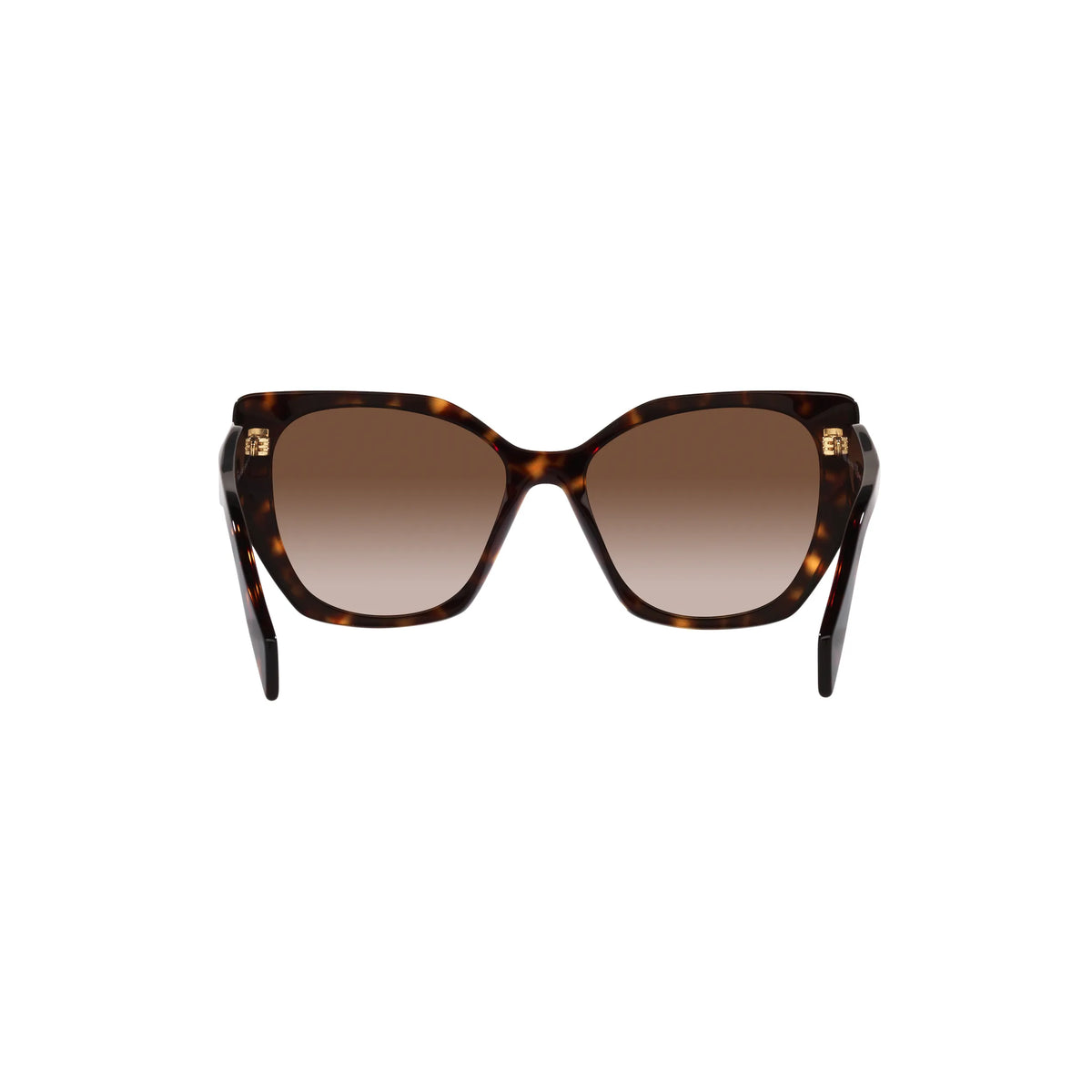 Prada PR 19ZS 2AU6S1 – tartarugato – Occhiali da sole