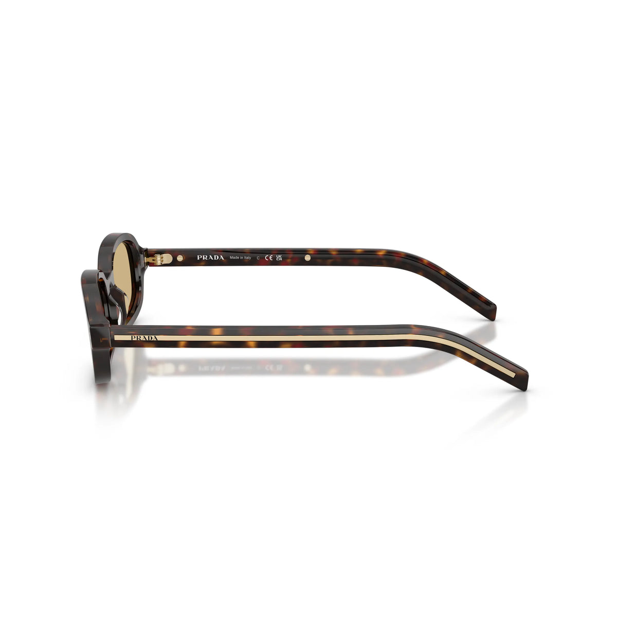Prada PR D06S 17N70R – Root tartarugato – Occhiali da sole