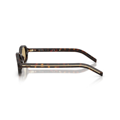 Prada PR D06S 17N70R – Root tartarugato – Occhiali da sole