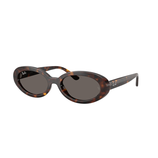 Ray-Ban RB2223 902/B1 – havana – Occhiali da sole