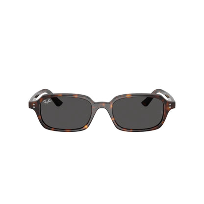 Ray-Ban RB4455 1359/87 – tartarugato – Occhiali da sole