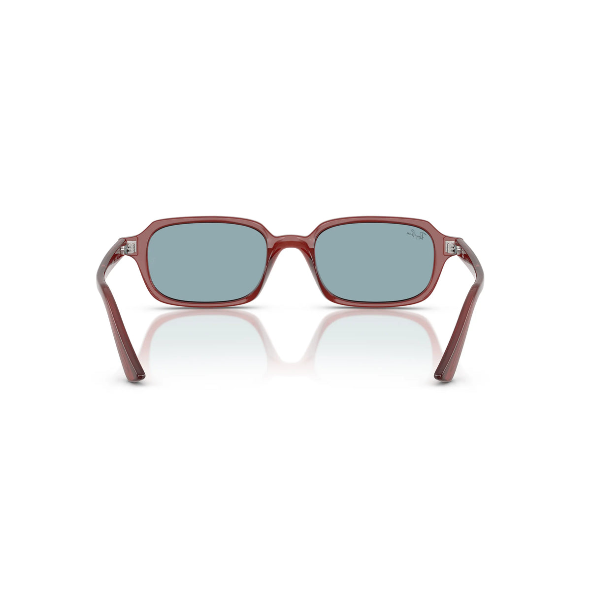 Ray-Ban RB4455 680980 – marrone ruggine – Occhiali da sole