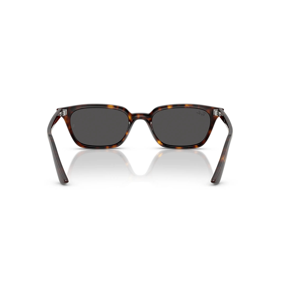 Ray-Ban RB4456 1359/87 – tartarugato – Occhiali da sole