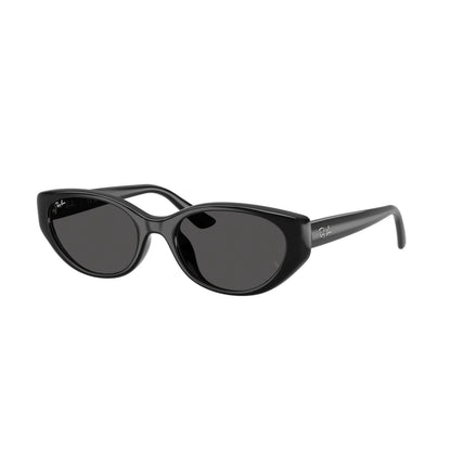 Ray-Ban RB4457D 6677/87 – nero – Occhiali da sole