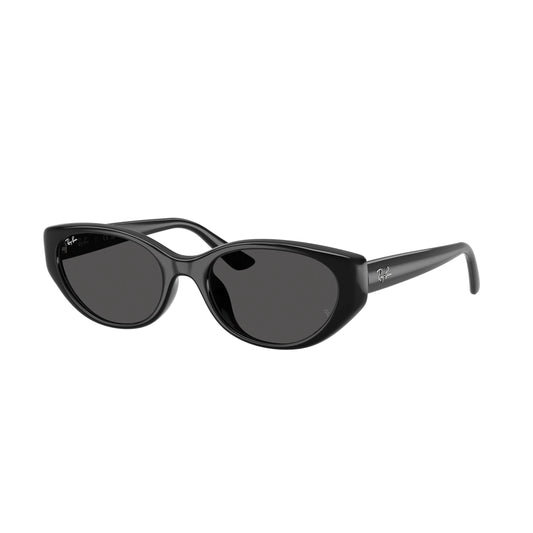 Ray-Ban RB4457D 6677/87 – nero – Occhiali da sole