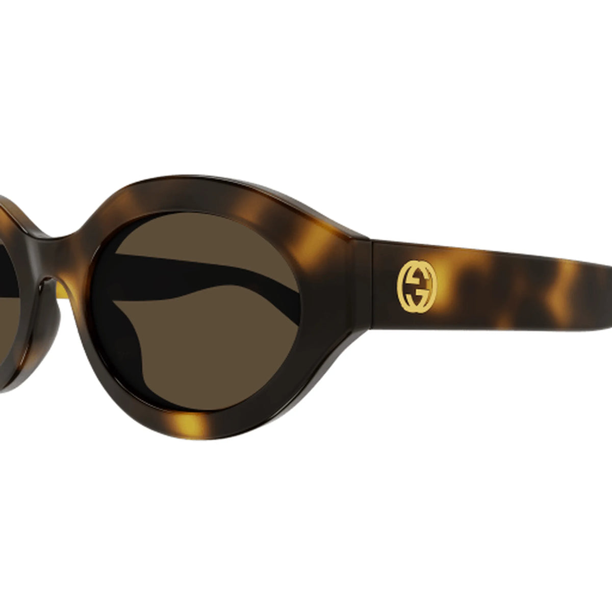 Gucci GG1579S - 002 – Havana – Occhiali da sole