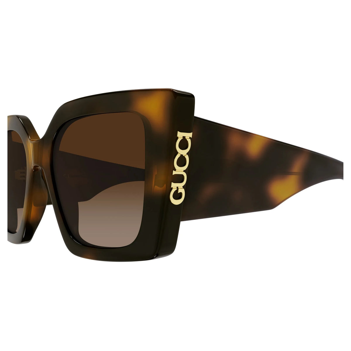Gucci GG2039S-002 – Havana – Occhiali da sole