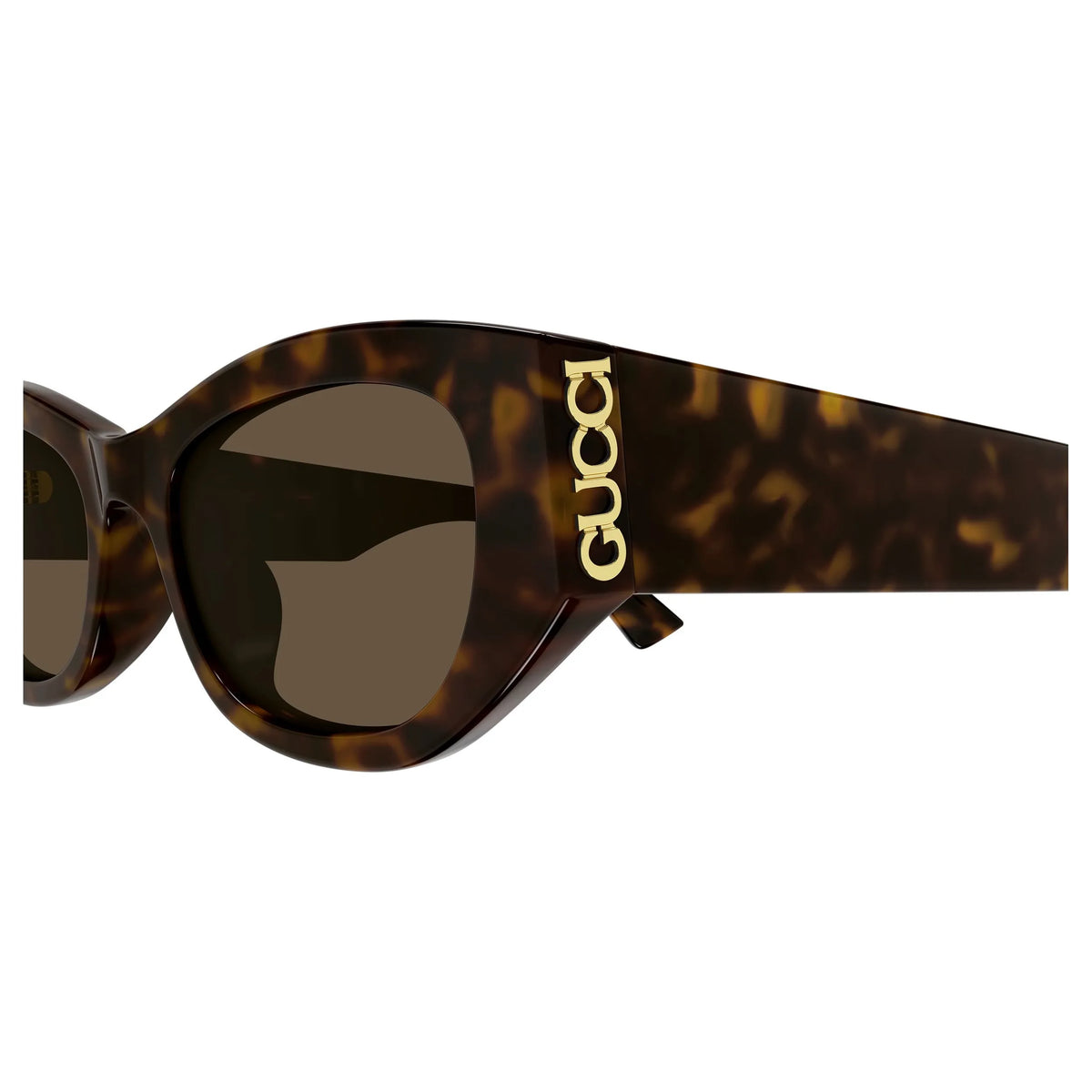 Gucci GG2044SA-002 – Havana – Occhiali da sole