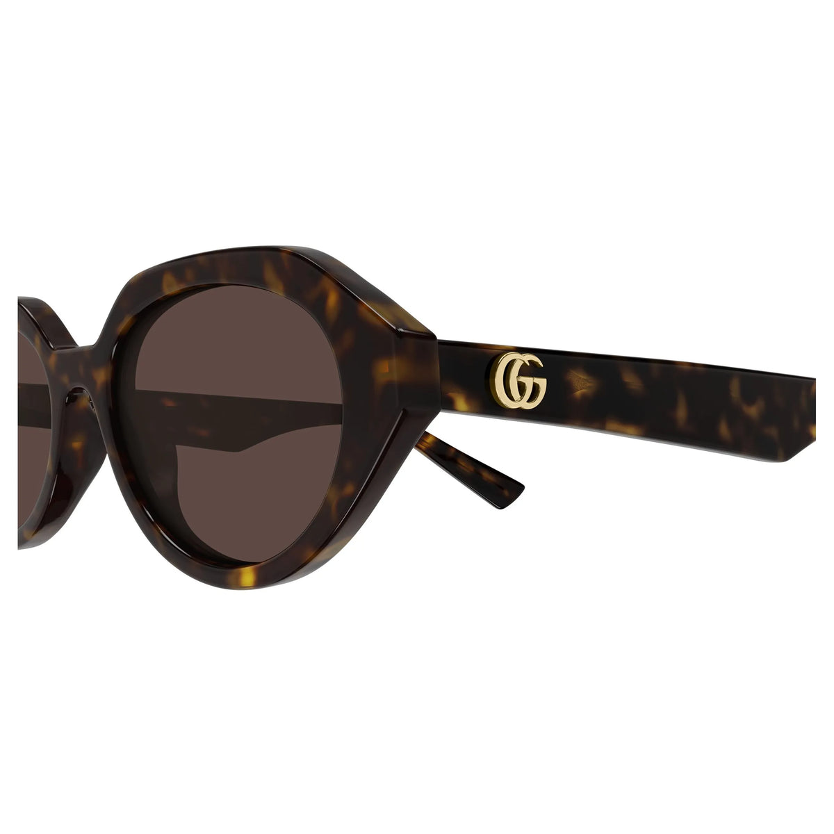 Gucci GG2178S-002 – Havana – Occhiali da sole